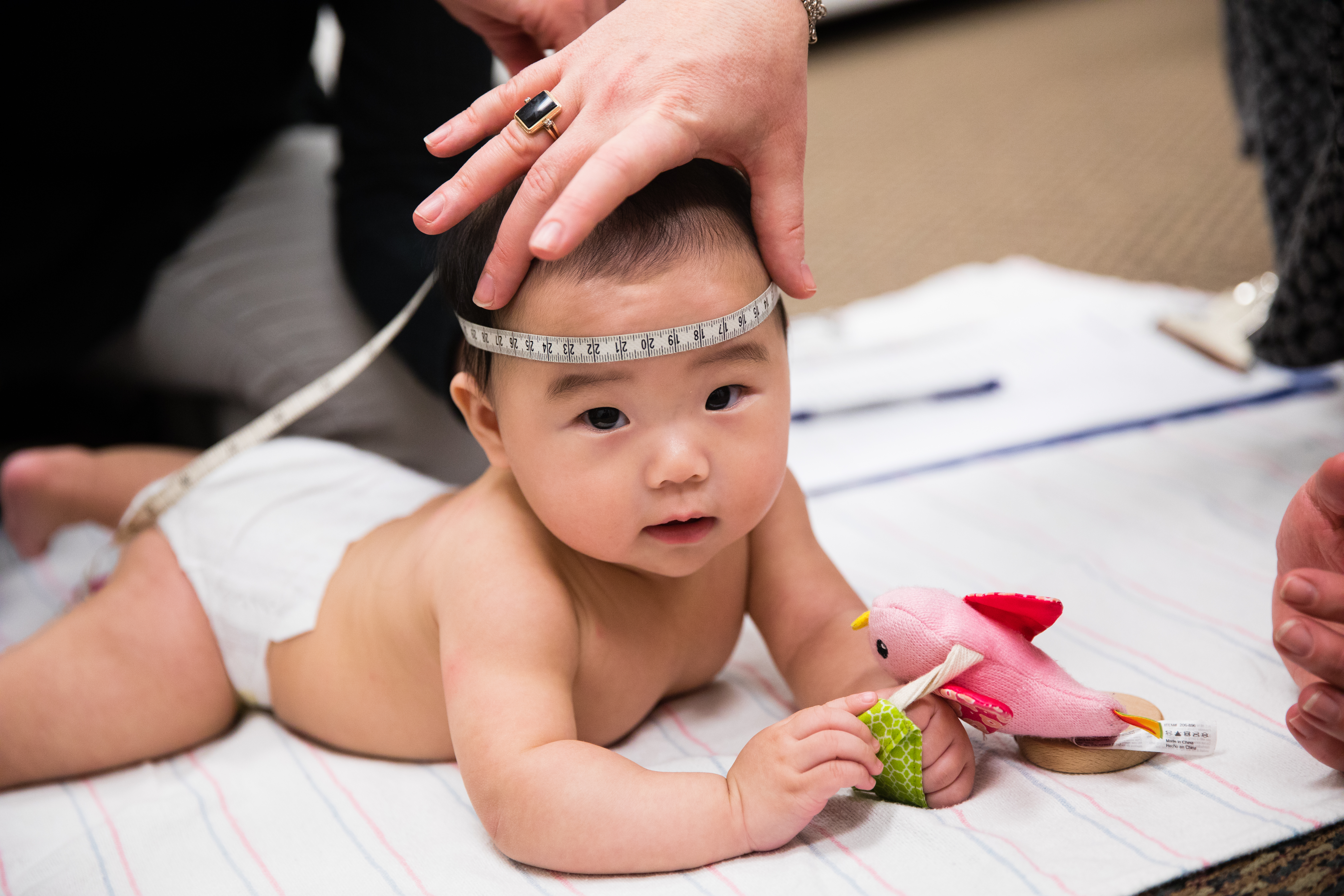 Infant looking at camera while head circumference is measured with a flexible measuring tape