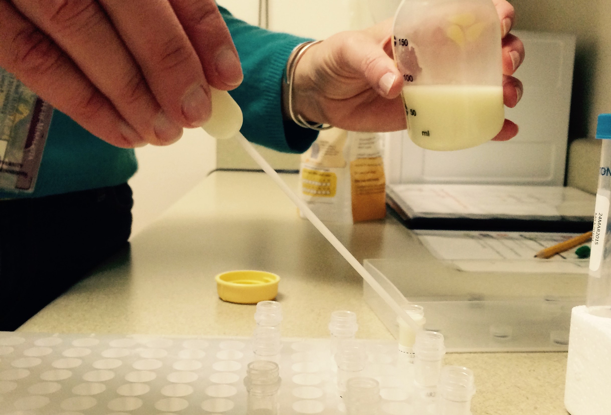 Close-up photo of human milk being put into small tubes for analysis with pipette